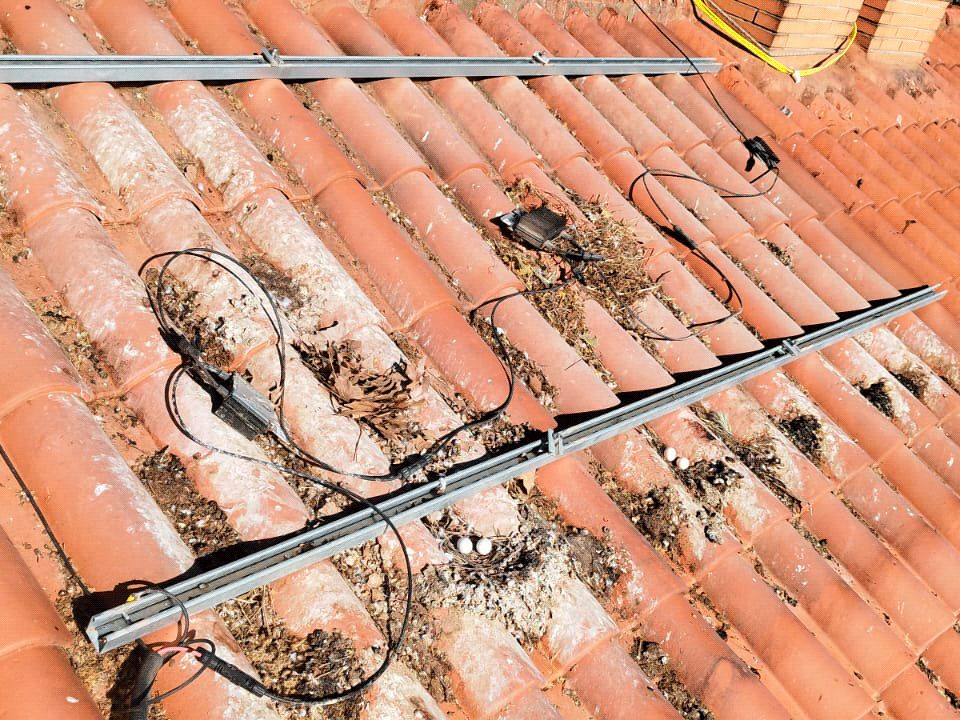 La solución para evitar nidos de pájaros en paneles solares: BirdBloker 2 IMG 20250428 WA0023 antipajaros 2 1